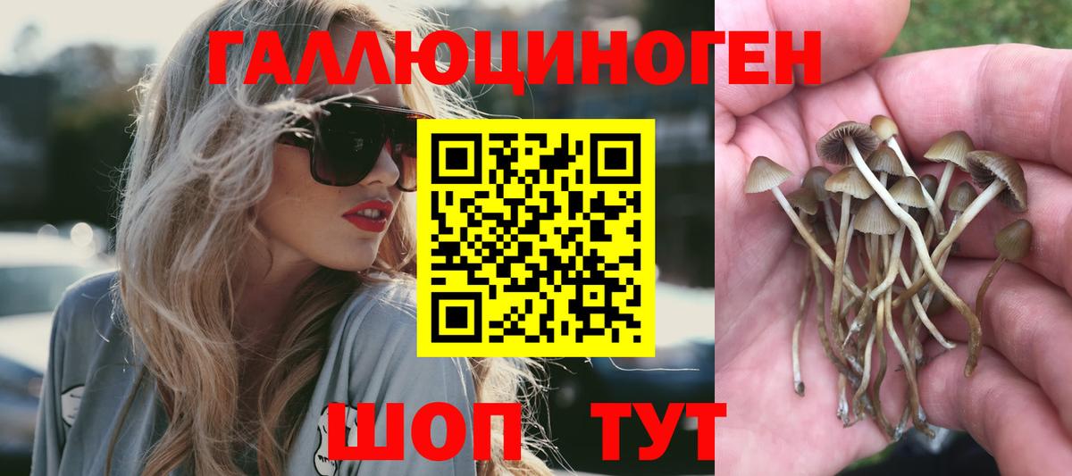 Верхняя Салда  Галлюциногенные грибы мухоморы  Вход с VPN 